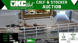 9172024  OKC West Calf and Stocker Auction [upl. by Yngiram]