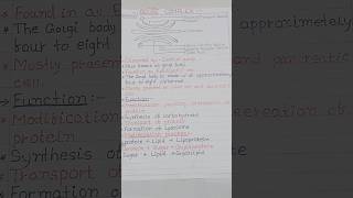 Golgi Apparatus Diagram  Golgi Apparatus Structure And Function [upl. by Ahseym]