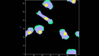 Multiple Cells Crawling in 2D  CompuCell3D Simulation [upl. by Wendt]