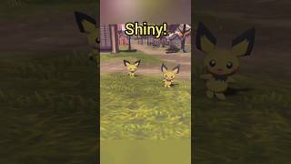 Which Pichu Is Shiny In Pokemon Legends Arceus pokemon shinypokemon pla [upl. by Wilber]