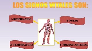 LOS SIGNOS VITALES [upl. by Nnaecarg]