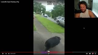 COPS CHASE HUGE PIG PIG VS PIG [upl. by Attemaj]