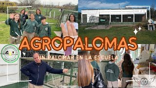 PALOMAS DE CARRERAS EN UNA ESCUELA Agropalomas escuela Aerotécnica crel Pringles 🏆✅ [upl. by Anhpad]