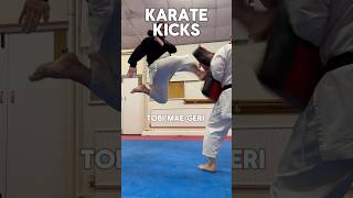 Karate Kicks karate martialarts shotokan kicks technique [upl. by Queri]