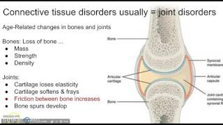 Connective tissue disorders 1 [upl. by Acenom596]