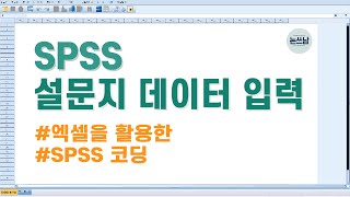 설문지 데이터 입력  엑셀을 활용한 spss 코딩spss 코딩 설문지 코딩 코딩틀 엑셀 코딩 [upl. by Romeon]