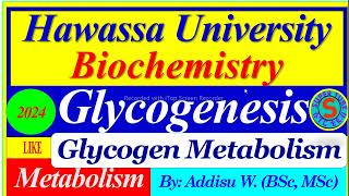 Glycogenesis Glycogen Synthesis  Glycogen Metabolism  carbohydrates metabolism biochemistry [upl. by Ennaillij]