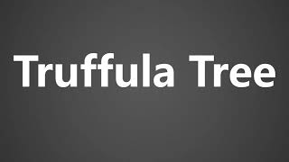 How To Pronounce Truffula Tree [upl. by Laamak]