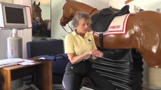 Rider Biomechanics by Mary Wanless  Plugging In [upl. by Trip679]