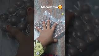 Macadamia🥰 food shrots [upl. by Cleopatre178]