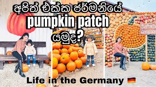 ජර්මනියේ pumpkin patchහරිම ලස්සන දවසක් Erlebnisbauernhof Gertrudenhofköln [upl. by Anesusa575]