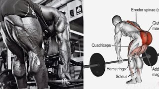 7 BEST EXS HAMSTRINGS  Mejores Exs de isquiotibiales para misa [upl. by Idonna]