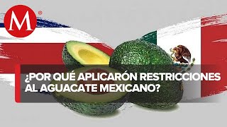 OMC da la razón a México en controversia contra Costa Rica por restricciones al aguacate mexicano [upl. by Krakow]