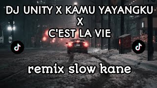 DJ UNITY X KAMU YAYANGKU X CEST LA VIE REMIX SLOW TERBARU 2024 [upl. by Eus]