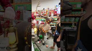 CHRISTMAS GIANT LED 85 FOOT REINDEER  HOLIDAY DECOR AT HOME DEPOT IN FLORIDA [upl. by Irat]