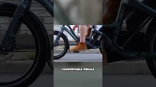 The most accessible ebike  Everyone can ride [upl. by Fidela]