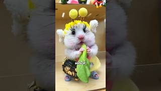 Will a hamster be given as a gift when you buy a courier hamsters cute animals lovestory [upl. by Ravo]