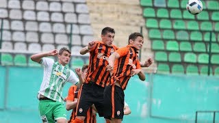 Karpaty U21 12 Shakhtar U21 Highlights 30052017 [upl. by Ulita]