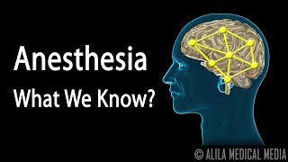 Neuroscience Basics Anesthesia How it Works Animation [upl. by Hanala32]