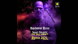 Benassi Bros feat Dhany Hit my heart Remix 2024 [upl. by Haveman]