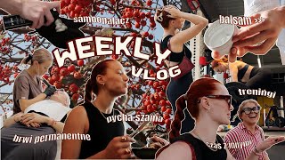 WEEKLY VLOG  brwi permanentne bruksizm lęk przed lekarzami [upl. by Anaiad]