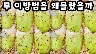 💚무 이걸 왜 몰랐죠 이렇게 맛있다니 놀랍습니다 한통 가득 만들어도 금방 다 먹어버립니다 [upl. by Tekla]