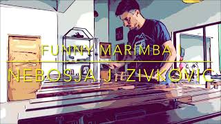 N J Zivkovic  Funny Marimba I [upl. by Vitale]