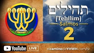 Salmo 2 Tehilim תהילים El Reino del UngidoMashíaj de Yahwéh [upl. by Esertak801]