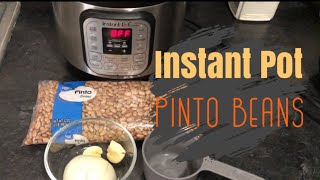 Instant Pot Pinto Beans  HOW TO MAKE PERFECT PINTO BEANS  NO soaking necessary [upl. by Neve]