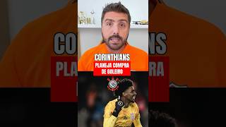 CORINTHIANS PLANEJA COMPRA DE GOLEIRO futebol jorgenicola canaldonicola corinthians [upl. by Sert]