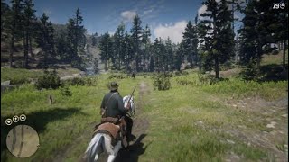 RDR2  Cougar Runs From Me And A Grizzly [upl. by Jourdain862]