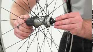 How to service your Shimano hubs [upl. by Aiderfla]