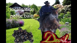 Red Dead Redemption 2 Small berries locationLocalisation petite baie [upl. by Boorer]