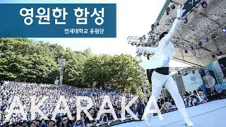 2018 연세대 아카라카 영원한 함성 신곡  연세대학교 응원단  연세대 축제 [upl. by Leacim]