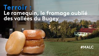 Terroir  le ramequin le fromage oublié des vallées de Bugey [upl. by Notyalk118]