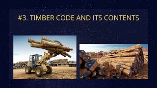 Timber Code [upl. by Etoile391]