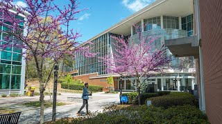 Clarkston Campus  Highlight [upl. by Yelac643]