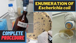 Enumeration of Escherichia coli Total E coli CountA Complete Procedure ISO 93081 amp ISO 16649 [upl. by Intisar]