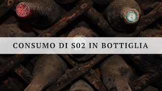 Le cause del consumo di SO2 durante la conservazione dei vini [upl. by Lancaster]