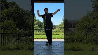 Testing out my Xero Shoes with kung fu kicks martialarts [upl. by Kirbee]