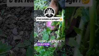 Le Jardin Potager Un bon investissement pour 2025 [upl. by Enilreug]