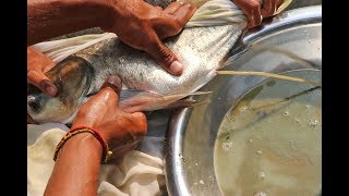 Fish Breeding System  Big Head Fish Eggs Hatchery [upl. by Aelber504]