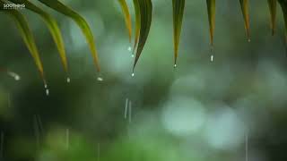 Relaxing Music amp Rain Sounds  Beautiful Piano Music Background Music Sleep Music You amp Me [upl. by Nodarse750]