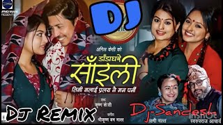 New Nepali LokDohori Dj Remix 2021  डाडा घरे साइली  Timi Malai Pralaya Nai Man Parni Dj Remix [upl. by Atiroc]