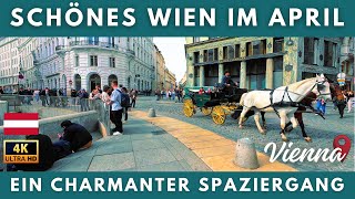 Österreich Wien  Spaziergang im Frühling  4K Rundgang in der Wiener Innenstadt 2024 [upl. by Soph]