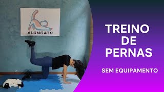 Treino de Pernas de 21 Minutos  Para Fazer em Casa  Sem Impacto  Sem Equipamento  Semana 2 [upl. by Moonier886]