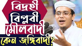 বিদ্রোহীবিপ্লবীমৌলবাদী কেন জঙ্গিবাদী  জ্বালাময়ী সংগীত  মুফতি সাঈদ আহমদ  Mufti Sayed Ahmad [upl. by Buskirk432]