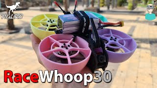 HGLRC RaceWhoop 30 Molded Plastic Ducts Version [upl. by Shuma]