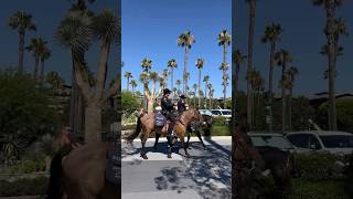 Mounted Police in America [upl. by Leynwad]