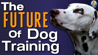 Why Mastering Reinforcement Is The Linchpin To Reinforcement Based Dog Training 196 podcast [upl. by Jolie965]